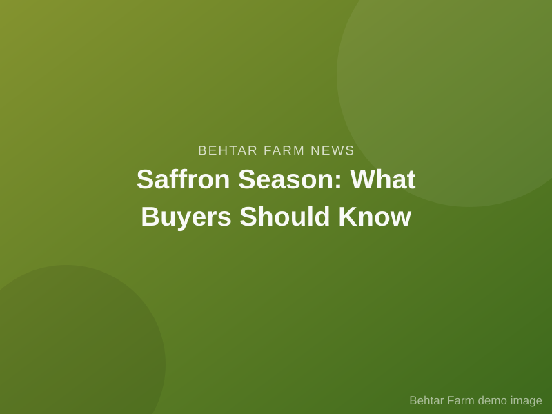 Saffron Season: What Buyers Should Know