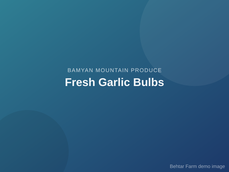 Fresh Garlic Bulbs