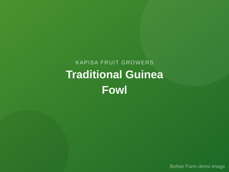 Traditional Guinea Fowl