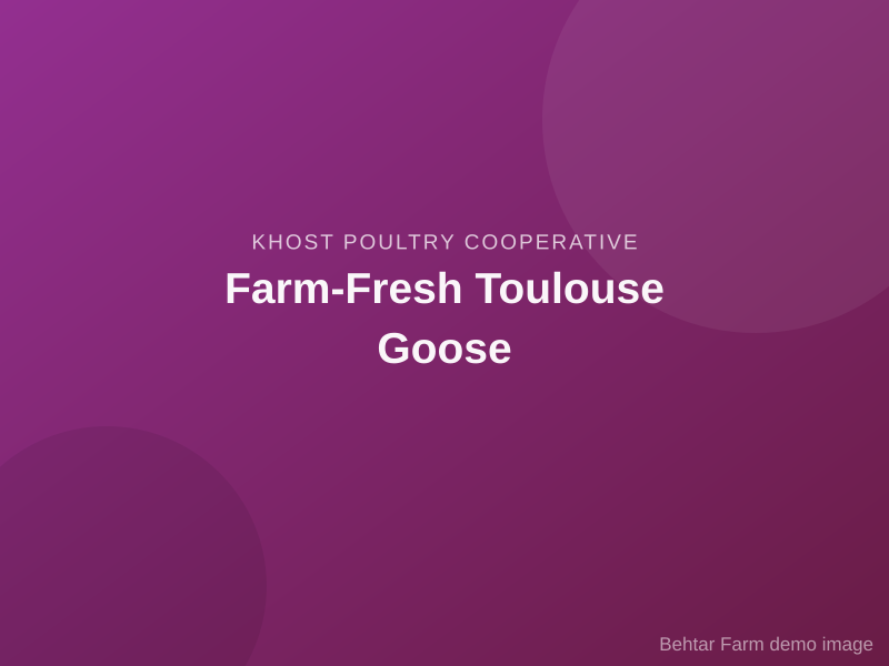 Farm-Fresh Toulouse Goose