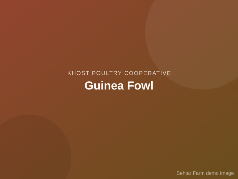 Guinea Fowl