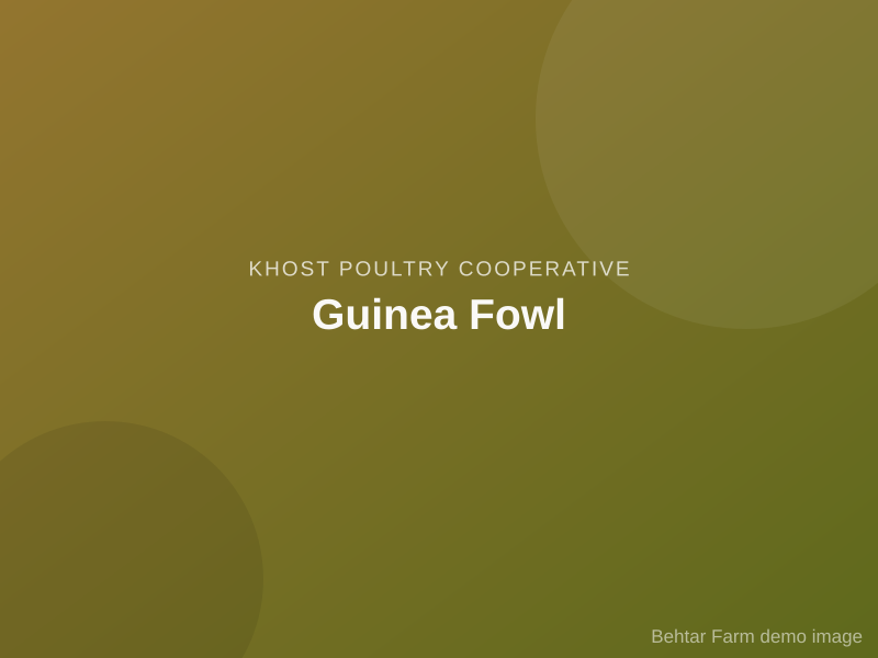 Guinea Fowl