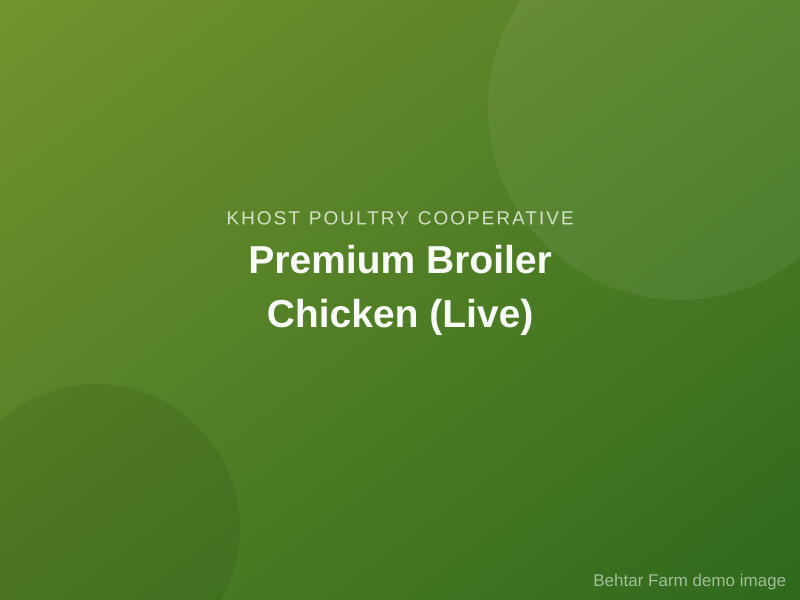 Premium Broiler Chicken (Live)