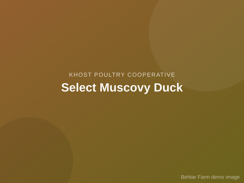 Select Muscovy Duck