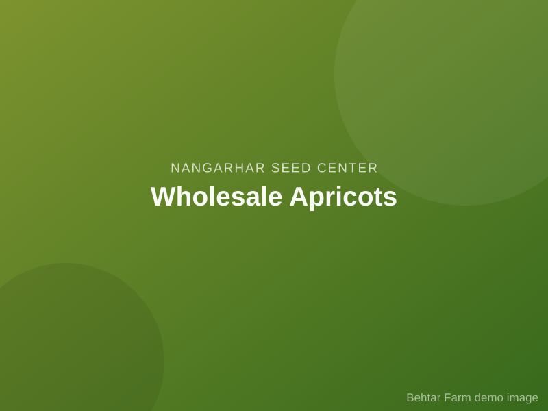 Wholesale Apricots